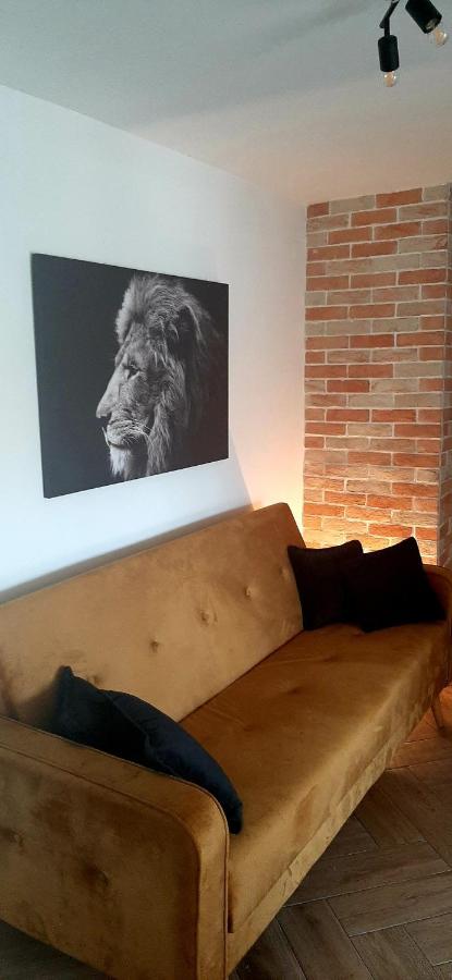 Ric Apartment בודווה מראה חיצוני תמונה